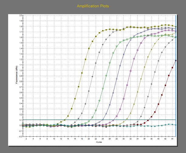 Amplifications curves of a real time RT-PCR 