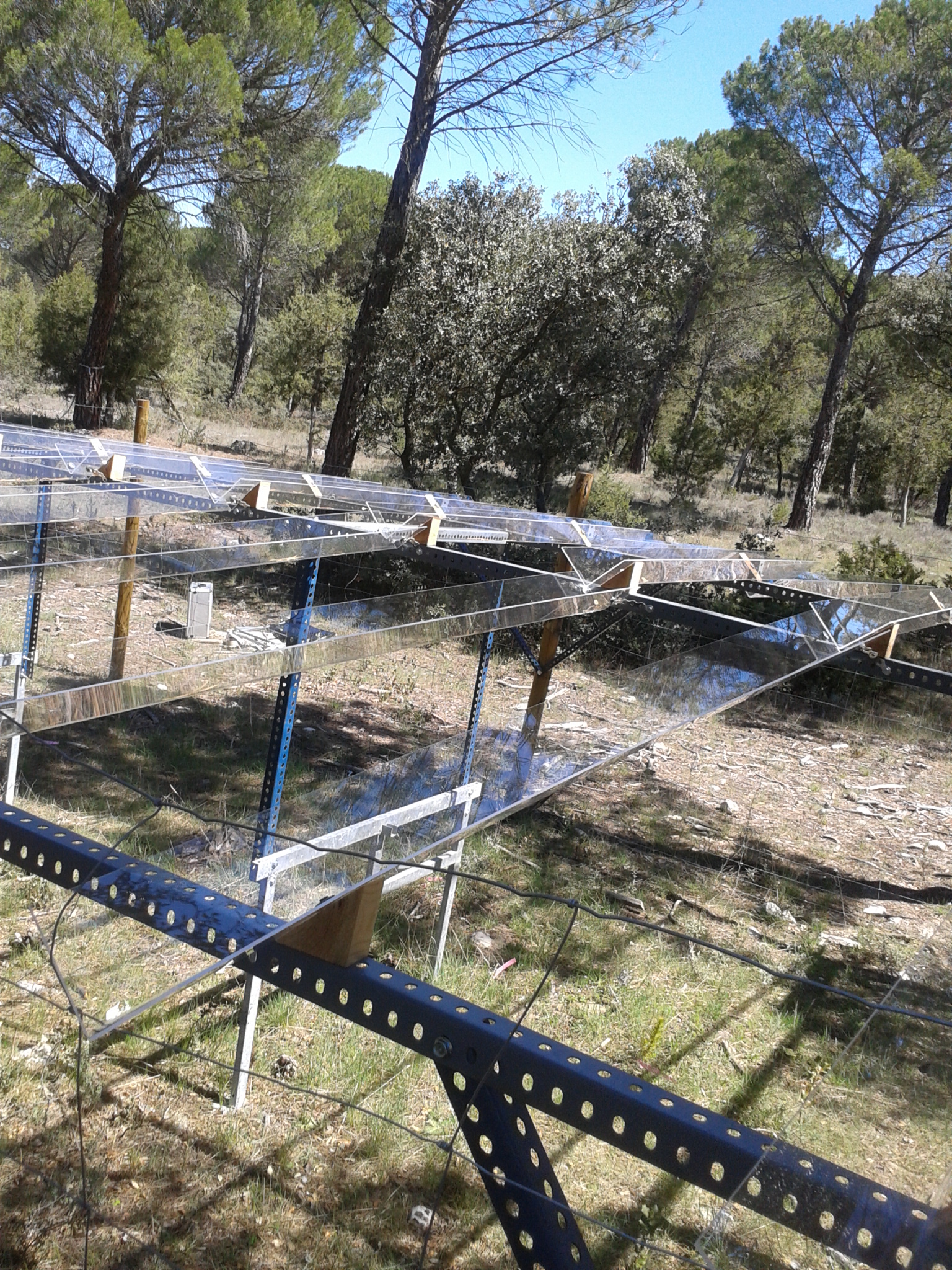 Rainfall exclusion experiment in a mixed Mediterranean forest
