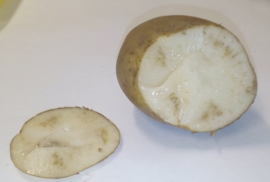 Symptoms of Candidatus Liberibacter solanecaerum in potato tubers