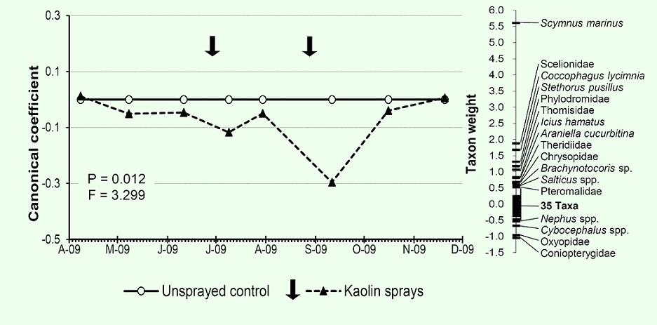 Principal response curve (PCR) showing the effect of kaolin application on the natural enemies of the olive tree canopy. The tax