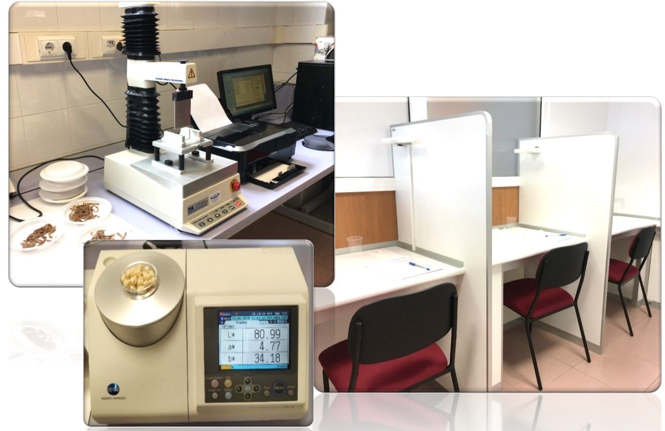 Texturometer, colorimeter and tasting room (Centre for Food Quality , Soria)