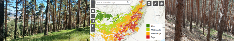 Visor de Calidad de Estación Forestal en España (Forest Site Quality)
