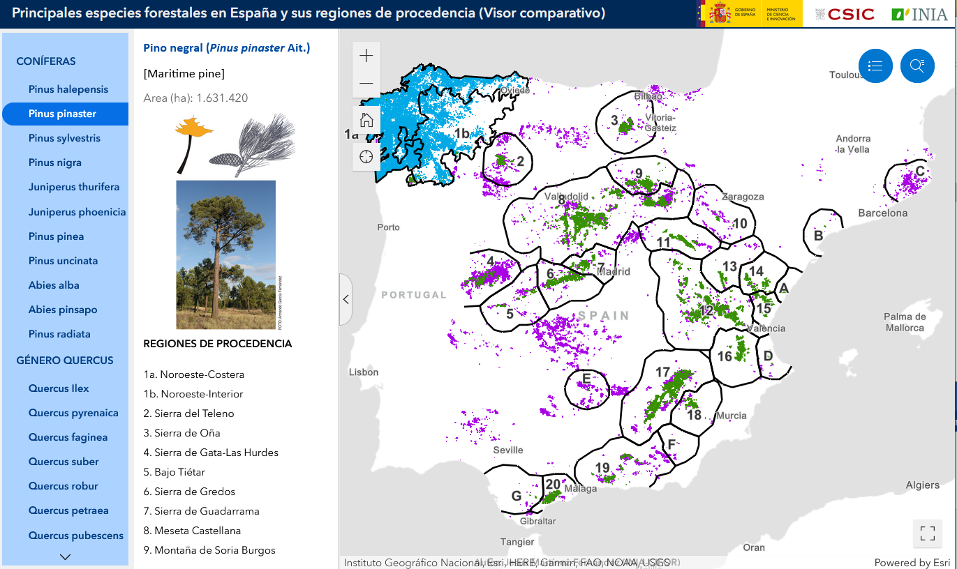 ​​Visor comparativo de la distr​ibución de especies forestales en España y sus regiones de procedencia